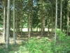12bbhm010-mooi-stukje-natuur
